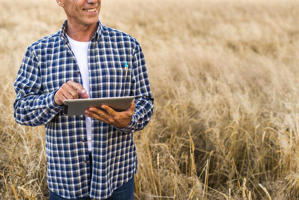 E-Grain Lideres Calidad Humana