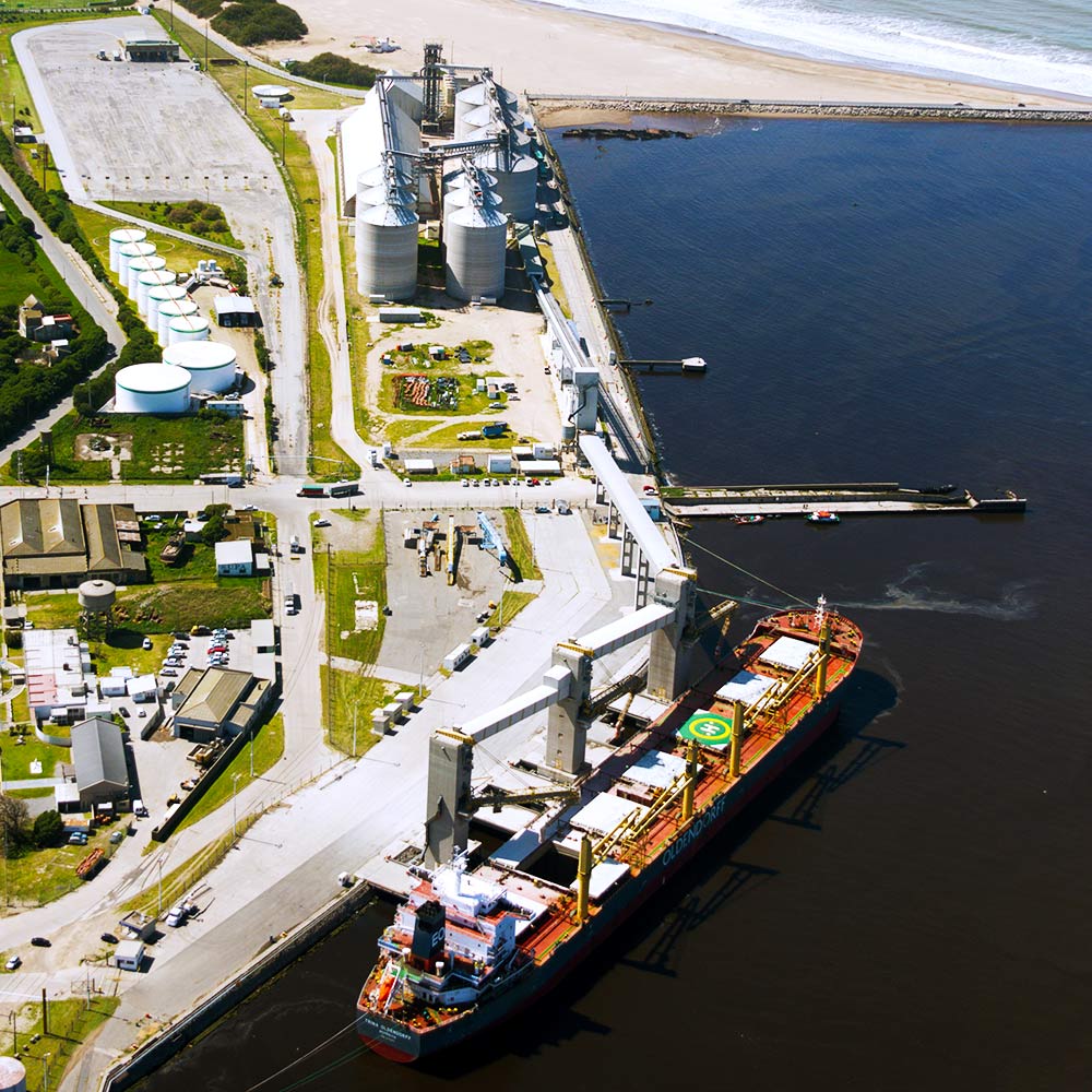 Logística 1 e grain logistica sitio 0