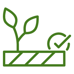 Bienvenidos a E-Grain 6 e grain ico