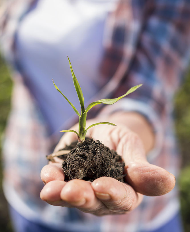 Bienvenidos a E-Grain 7 Prácticas sustentables para cuidar el medio ambiente – E-Grain