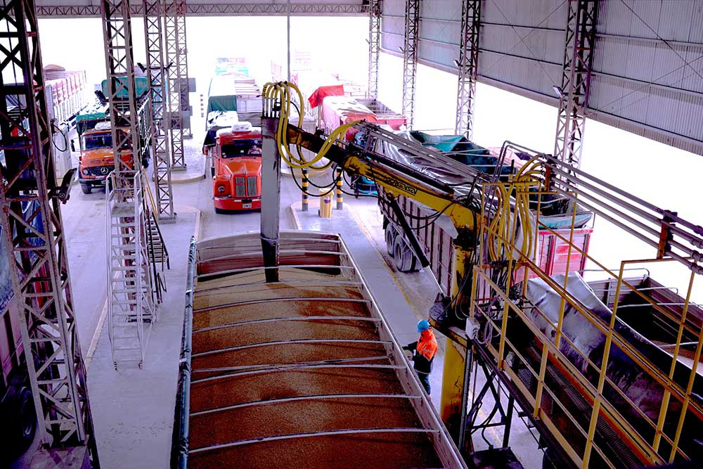 Logística 2 e grain logistica 02