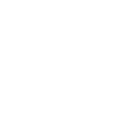 e-grain-ico-seriedad-y-honestidad​​​